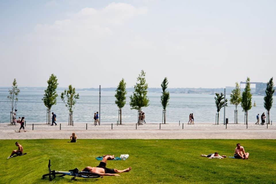 Pessoas a descansar na relva e desfrutar da Ribeira das Naus